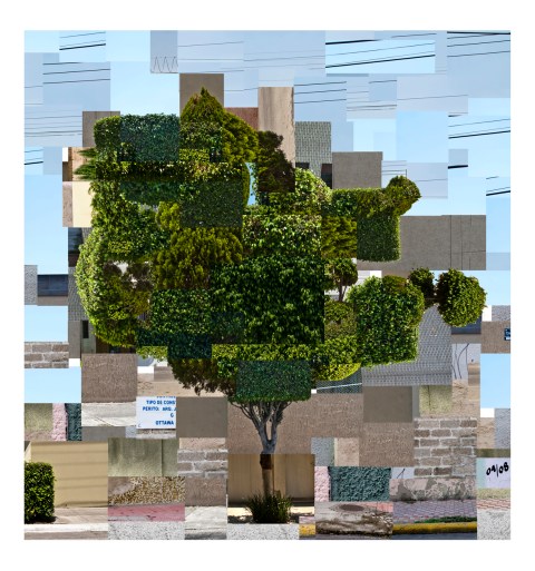 autoctono urbanita peq