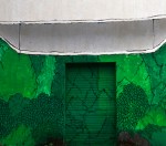 reforestando 12 enter