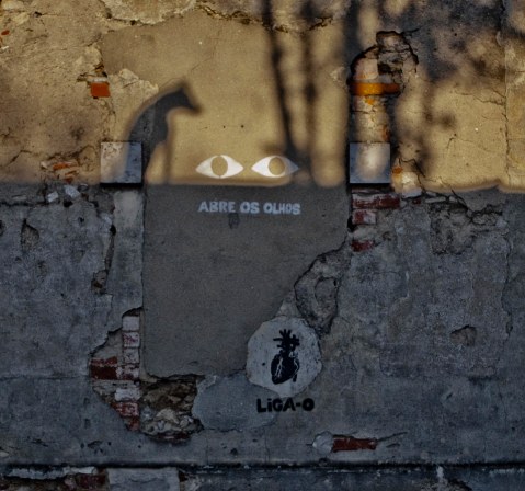 24022013-_MG_8409 telas