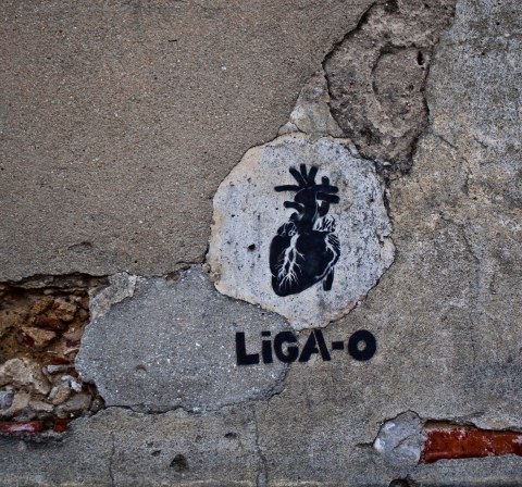 24022013-_MG_8416 telas