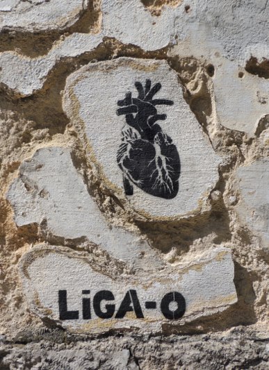 526962_10200787870644752_1919420136_n