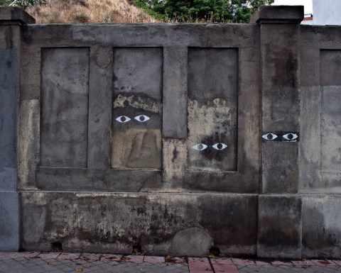 heterogenea reunion-multiple vision