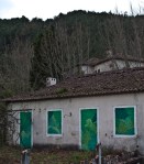 reforestando interiores 3