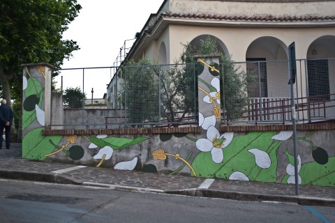 laurus nobilis storm_doa_oa