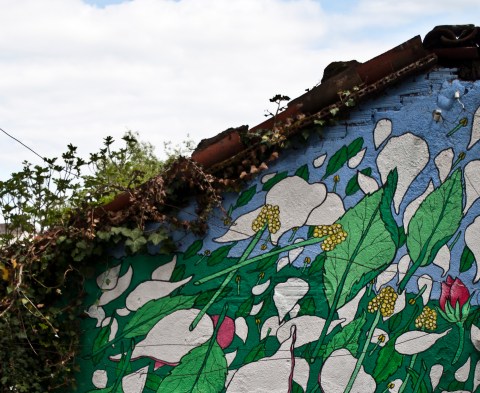 reforestando tromanta manzano 2