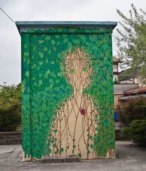 reforestando valmntone doa oa 4