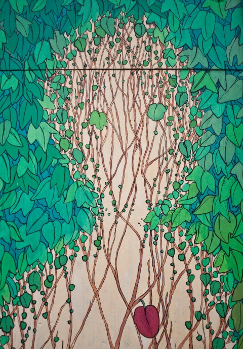 reforestando valmontone doa oa 2