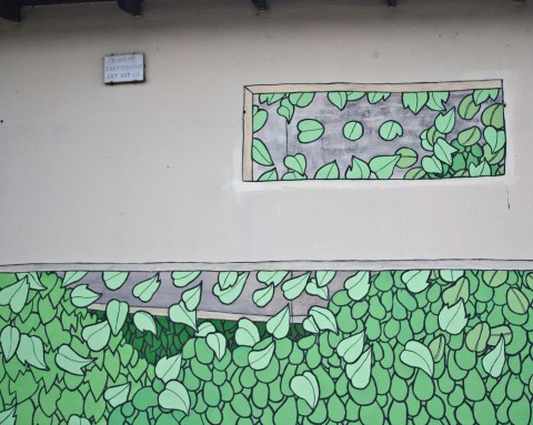 rimboscando terracina doa oa 2