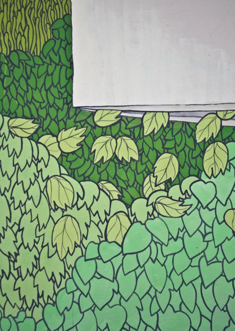 rimboscando terracina doa oa 5