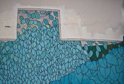 rimboscando terracina doa oa 6