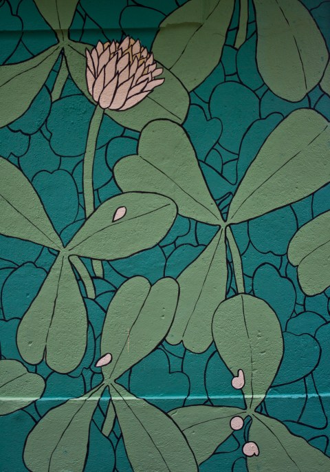 reforestando trilolium kaldarte 2015 firma doaoa