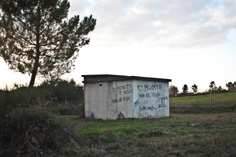 o monte é noso_after reforesting_doa_ocampo