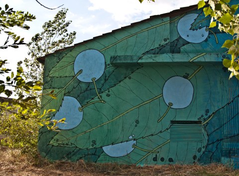 prunus spinosa storm _ reforesting_doaocampo 2