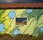 prunus spinosa storm _ reforesting_doaocampo 6