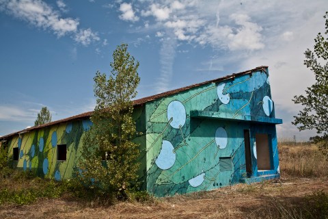 prunus spinosa storm _ reforesting_doaocampo