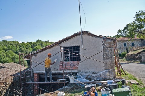 reforestando en la ribeira sacra doa oa 4