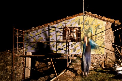 reforestando en la ribeira sacra doa oa 6