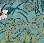 tormenta aleluya doa oa reforestando ribeira&nbsp;sacra