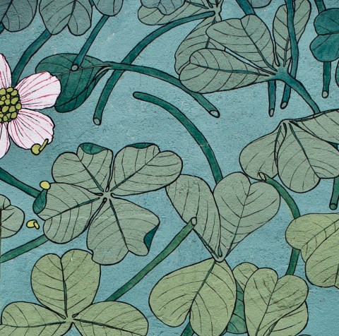 tormenta aleluya doa oa reforestando ribeira sacra