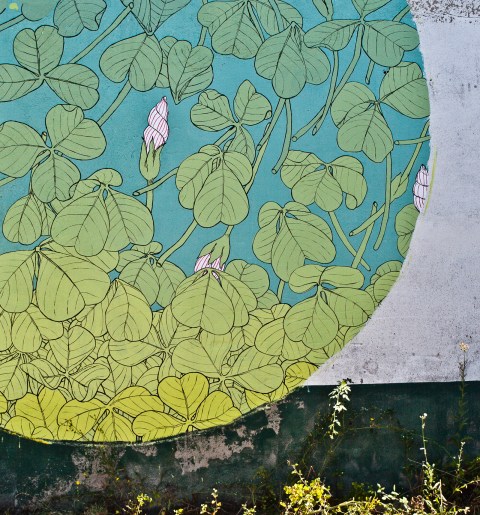 tormenta aleluya reforestando doa oa