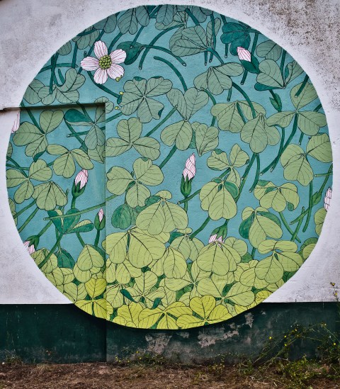 tormenta aleluya reforestando ribeira sacra doaoa