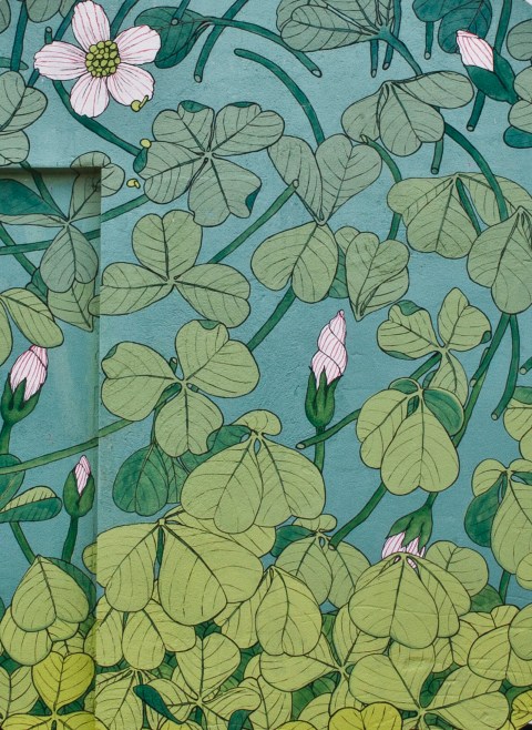 tormenta aleluya reforestando ribeira sacra doaoaoa