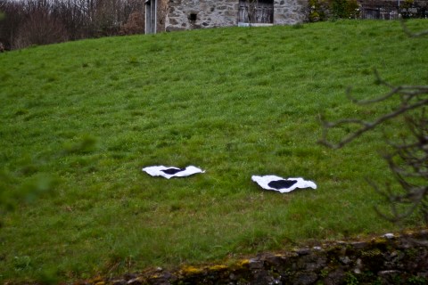 abre o olho no campo_doa oa_