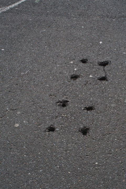 ambiguando _ doa ocampo_ 01654