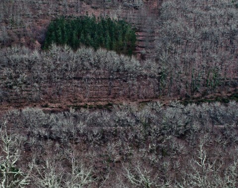 ambiguando _ doa ocampo_ 0188833