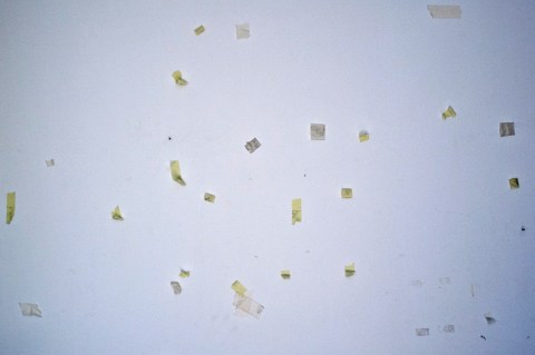 ambiguando _ doa ocampo_ 0198