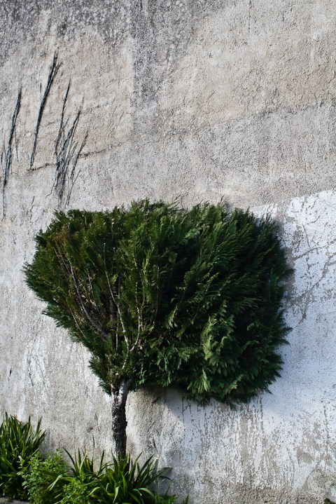 ambiguando _ doa ocampo_ 01cxzzz