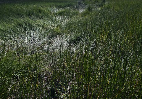 _ambiguando _ doa ocampo_xeometrias 15