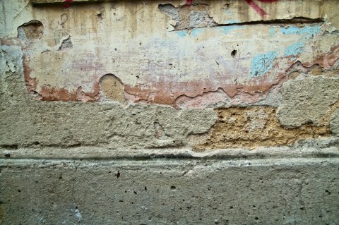 animais_ambiguando _ doa ocampo_