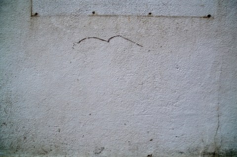 ave 3_ambiguando _ doa ocampo_