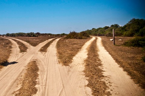 caminitooos_ambiguando _ doa ocampo_