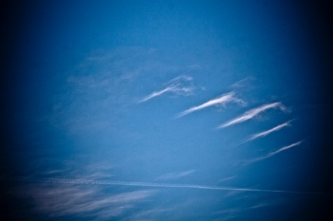 catro raias_ambiguando _ doa ocampo_