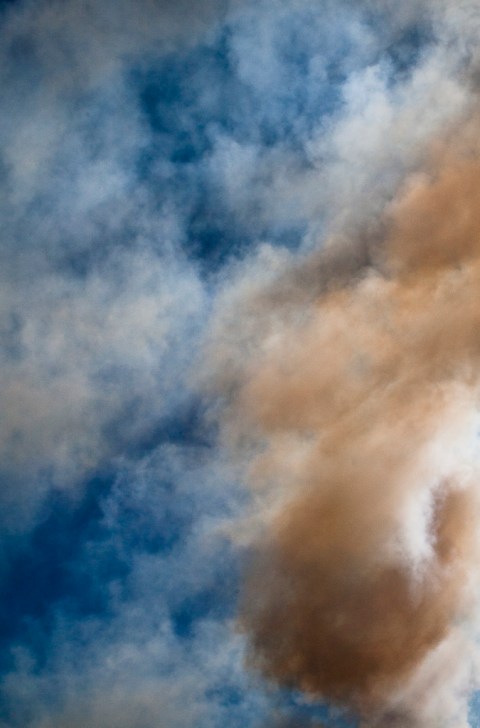 ceus 4_ambiguando _ doa ocampo_