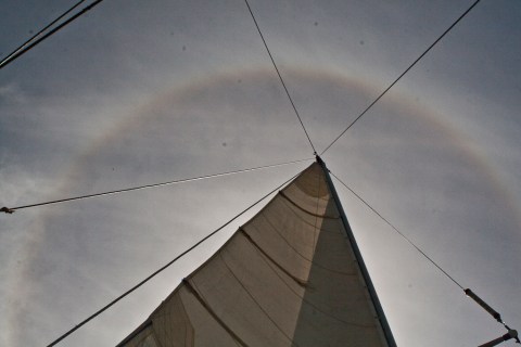 ceus 7_ambiguando _ doa ocampo_