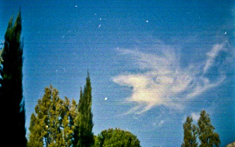 ceus_ambiguando _ doa ocampo_