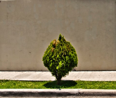 f 17ambiguando _ doa ocampo_ 0