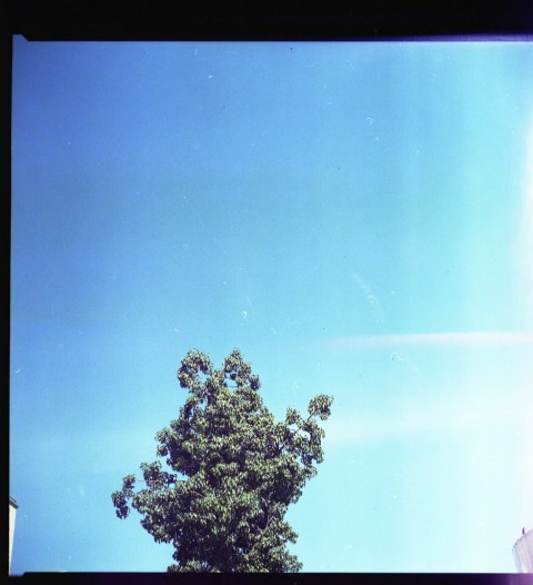 f 20ambiguando _ doa ocampo_ 0