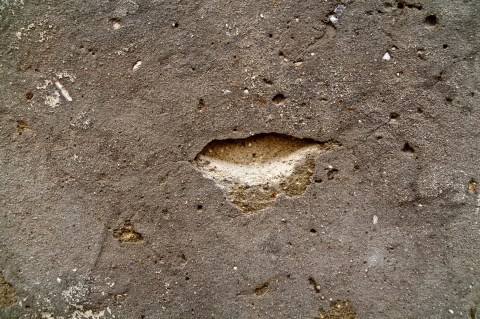 f 28 ambiguando _ doa ocampo_ 0