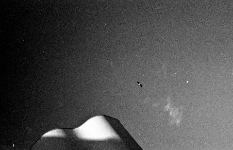 f 4_ambiguando _ doa ocampo_