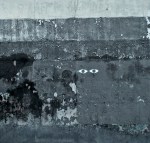 mimetizando_doa ocampo