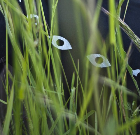 modos de ver_doa ocampo_024