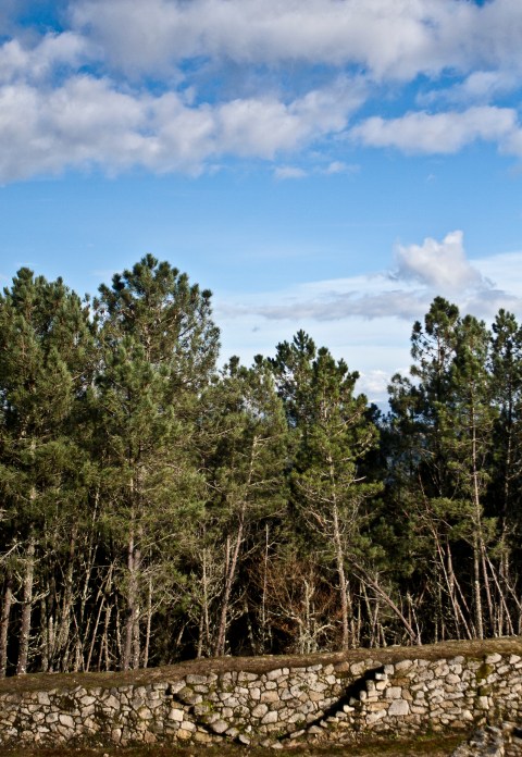 subir es una sonrisa_ambiguando _ doa ocampo_