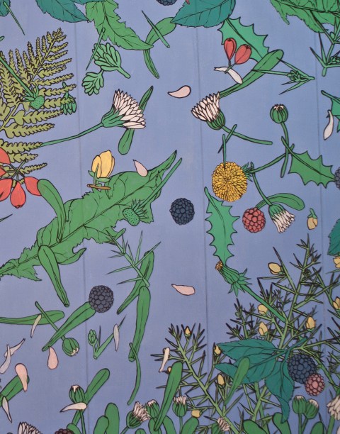 tormenta en buo - reforestando interiores- doa ocampo