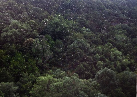 yo, ver y llover_ambiguando _ doa ocampo_ 01