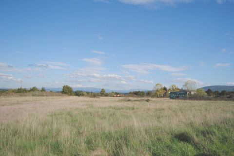 12195021_925680124179484_6219727149979909377_o