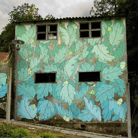 doa oa reforestando en desordes creativas